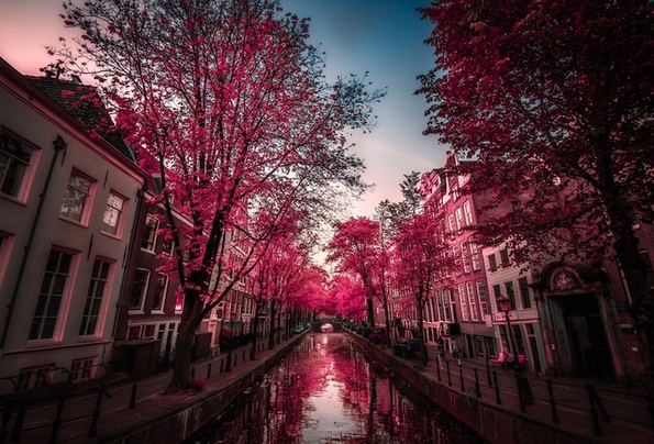 Пат околу светот низ живописни фотографии