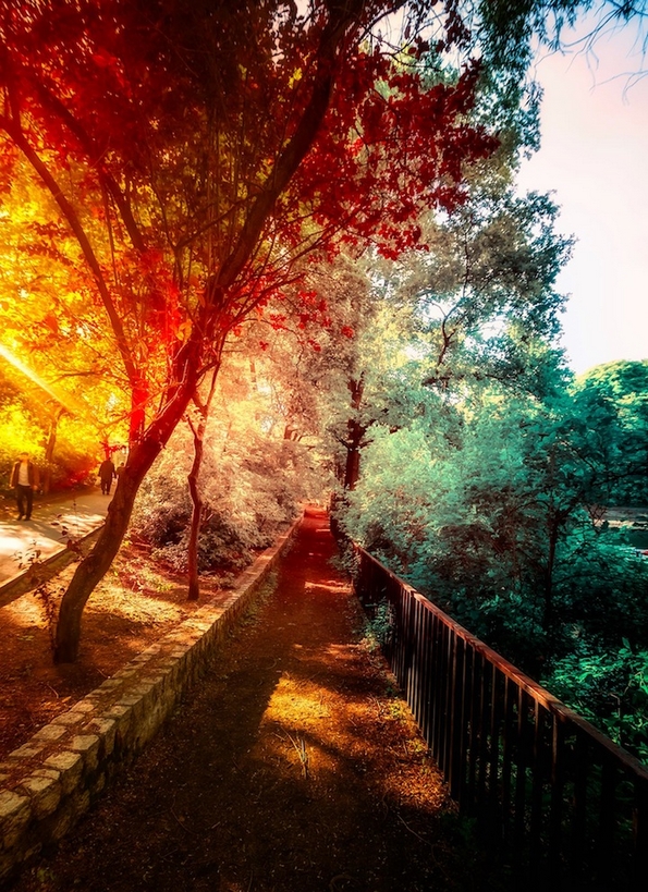 Пат околу светот низ живописни фотографии