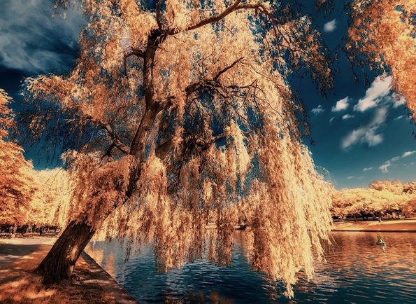 Пат околу светот низ живописни фотографии