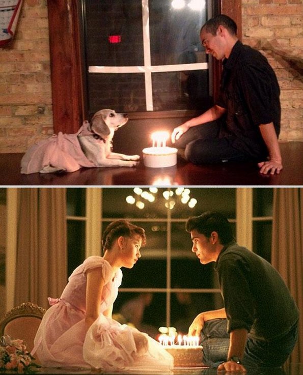 Романтични филмски сцени со кучето на шефот