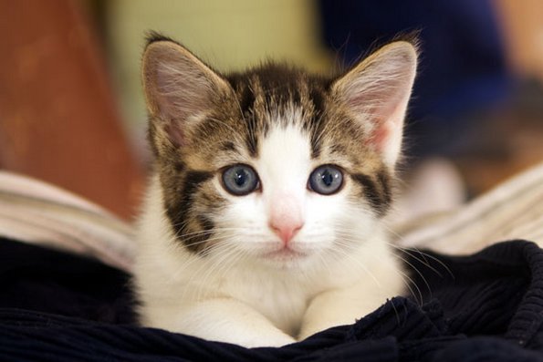 25 начини како да задоволите жена