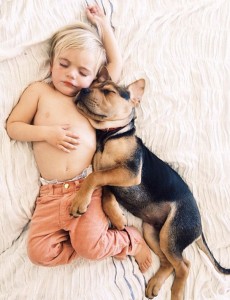 Слаткиот Боу во прегратките на неговото куче Тео