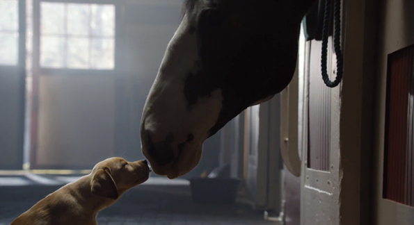 Рекламата на „Бадвајзер“ за Супер Боул која го расплака светот