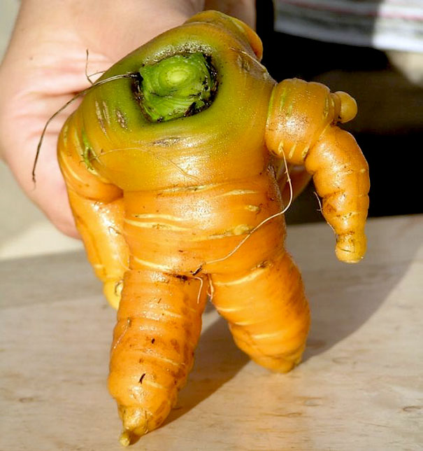 15 смешни овошки и зеленчуци кои мислат дека се луѓе