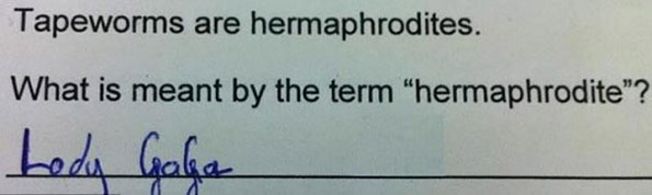 Прашање: Тениите се хермафродити. Што се мисли под поимот „хермафродит“? Одговор: Лејди Гага.