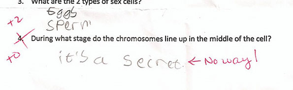 Прашање: Во која фаза хромозомите се подредуваат во средината на клетката? Одговор: Тоа е тајна.