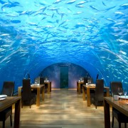 Ithaa Restaurant, Малдиви