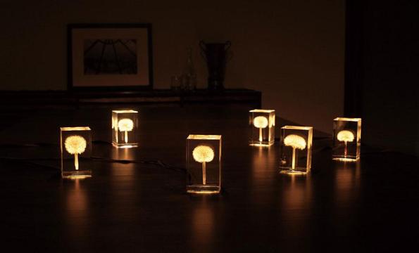 Светлосни глуварчиња кои магично го осветлуваат вашиот дом