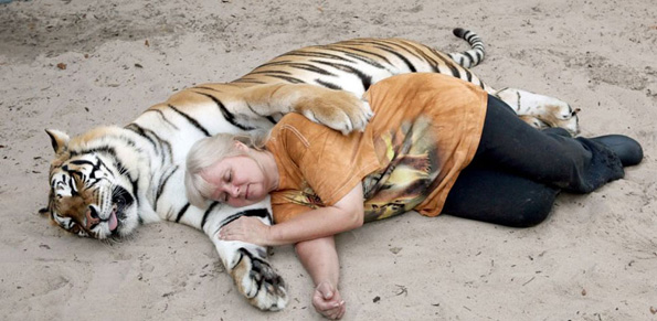 Жената која чува разиграни и мили тигри како домашни миленичиња