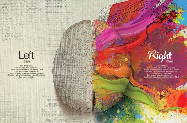 Корисни информации за левата и десната страна на мозокот – која страна ја користите вие и како тоа се одразува на вас?