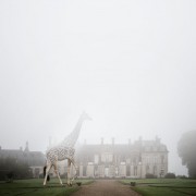 Разиграната авантура на една артистка во Франција