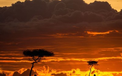 Неверојатни фотографии од Масаи Мара, Кенија за време на изгрејсонце и зајдисонце