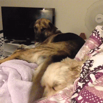 14-14-znaci-deka-predolgo-vreme-ste-singl-kafepauza.mk