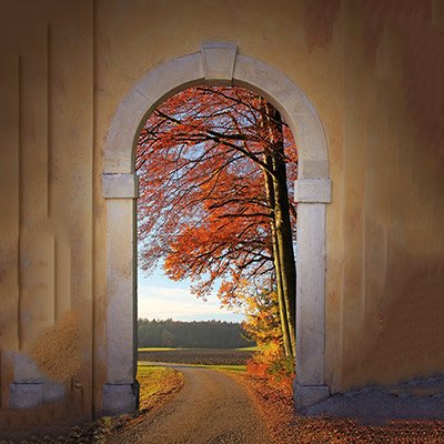 3-test-izberete-vrata-i-otkrijte-kakov-e-vashiot-zhivoten-pat-kafepauza.mk