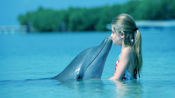 7 интересни факти за делфините