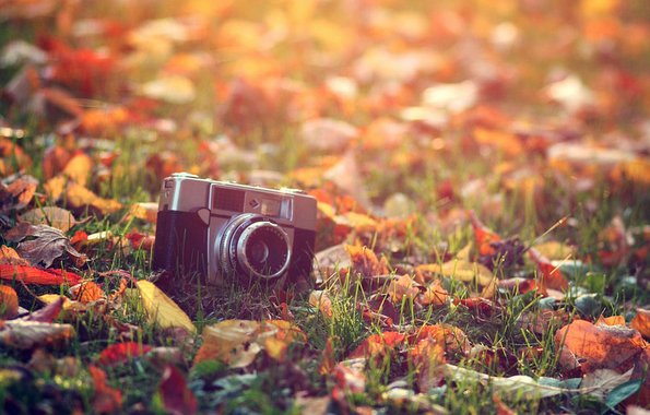 7 причини зошто есента е најдобро време за промени