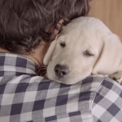 Реклама за пиво која ја буди свеста за последиците од несовесното пиење