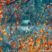 Прекрасни есенски фотографии кои ќе ве натераат да почнете да сликате