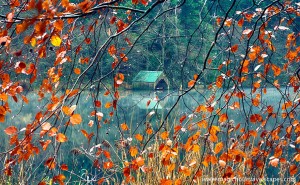 Прекрасни есенски фотографии кои ќе ве натераат да почнете да сликате
