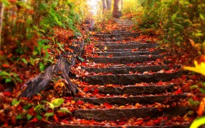 Прекрасни есенски фотографии кои ќе ве натераат да почнете да сликате