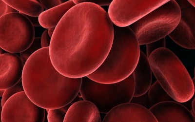 5 нешта кои треба да ги знаете за крвните групи