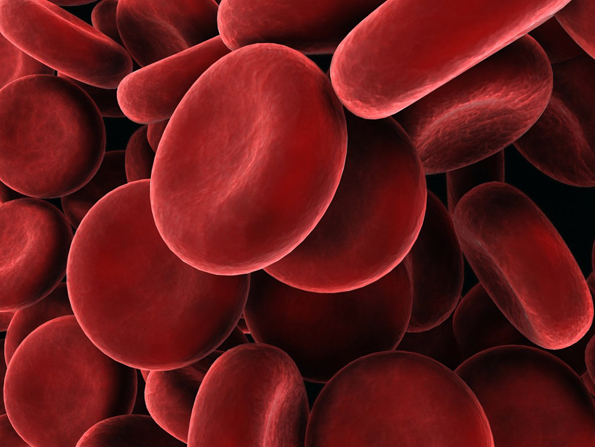5 нешта кои треба да ги знаете за крвните групи