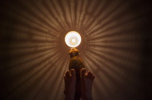 Запознајте го Лучи, страшниот мачор кој се проѕева и сака да прогонува