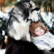 Неодоливи фотографии од големи кучиња кои се грижат за малечки деца