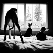 Неодоливи фотографии од големи кучиња кои се грижат за малечки деца