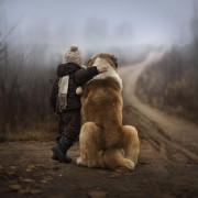 Неодоливи фотографии од големи кучиња кои се грижат за малечки деца