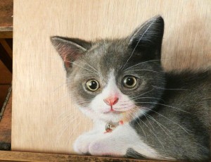 Неверојатно талентиран уметник црта хипер-реалистични цртежи на дрвени штици