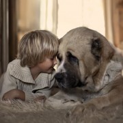 Неодоливи фотографии од големи кучиња кои се грижат за малечки деца
