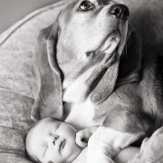 Неодоливи фотографии од големи кучиња кои се грижат за малечки деца