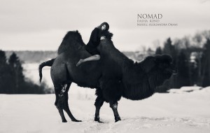 Фотосесија како од бајките која ќе ве маѓепса