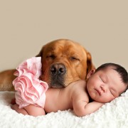 Неодоливи фотографии од големи кучиња кои се грижат за малечки деца