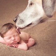 Неодоливи фотографии од големи кучиња кои се грижат за малечки деца