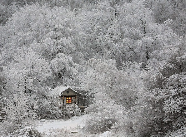 Куќички во кои можете да побегнете од сè, освен од снегот и осаменоста