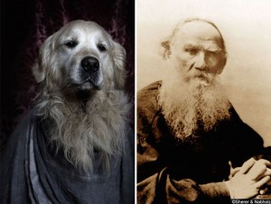 Овие кучиња неверојатно многу потсетуваат на познати поети и писатели
