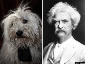 Овие кучиња неверојатно многу потсетуваат на познати поети и писатели