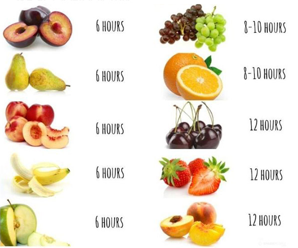 5-10-odlichni-finti-so-ovoshje-koi-mozhe-da-gi-isprobate-doma-kafepauza.mk