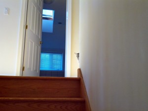 12 миленици кои не знаеле дека нивните стопани ќе се вратат дома порано