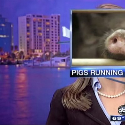 Погледнете ги најсмешните моменти за време на вестите во 2014 година