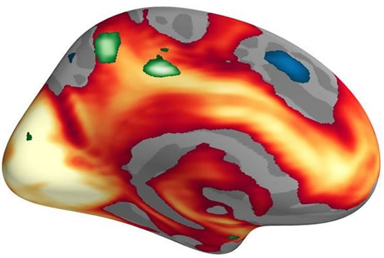 Мажите и жените ги обработуваат емоциите на различни начини и токму тоа влијае врз нивното помнење