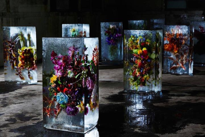 Прекрасни букети од цвеќиња замрзнати во коцки мраз