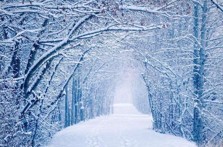 Прекрасни фотографии од зимската магија ширум светот