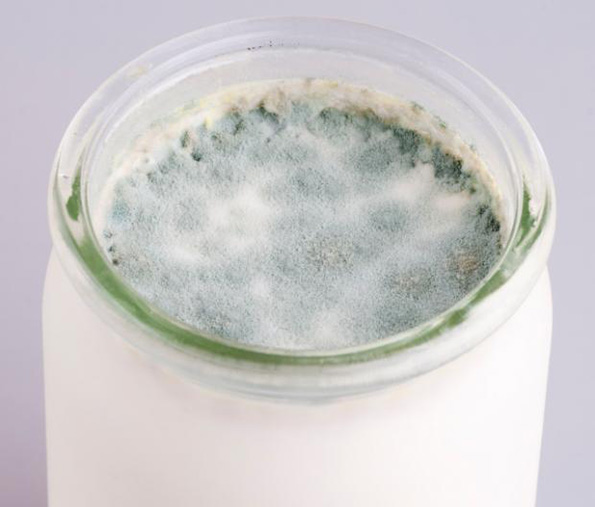 14-17-prichini-poradi-koi-bi-ve-proglasile-za-veshterka-vo-1693-godina-kafepauza.mk