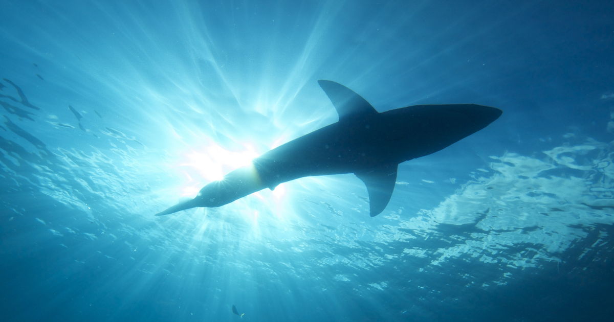 Неверојатни факти од науката кои ќе ви ја променат перспективата на животот