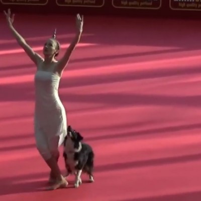 Прекрасна танцова кореографија помеѓу една девојка и нејзиното куче