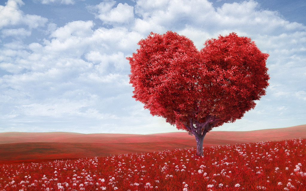 Тест: Што ве очекува во љубовта?