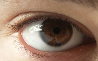 10 неверојатни факти за вашите очи кои сигурно не сте ги знаеле